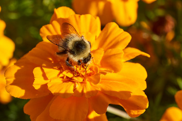 Similar image 21705699