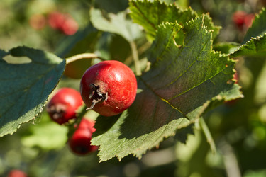 Similar image 21705713