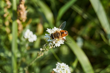 Similar image 21705714