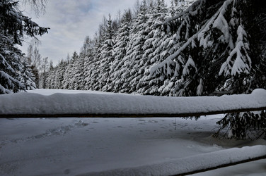 Similar image 21705719