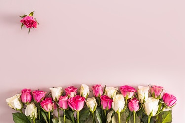 Similar image 21706369