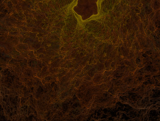 Similar image 21709439