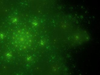 Similar image 21709113