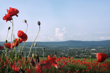 Similar image 21706735