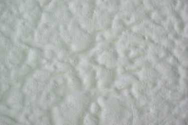 Similar image 21706768