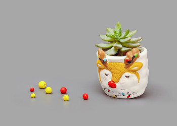 Similar image 21706995