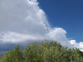 Similar image 21706536