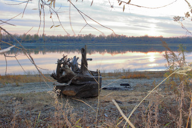 Similar image 21706549