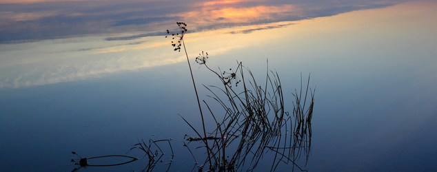 Similar image 21706554