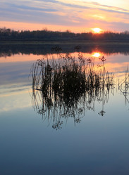 Similar image 21706558