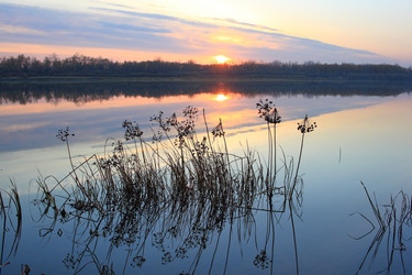 Similar image 21706559