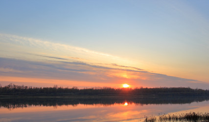 Similar image 21706560