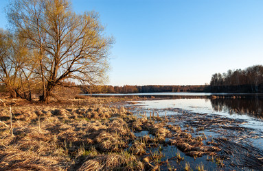 Similar image 21706867