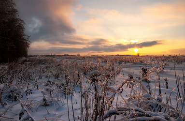 Similar image 21706872