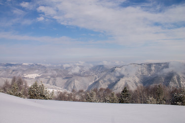 Similar image 21707001