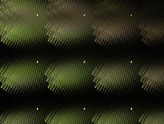 Similar image 21709128