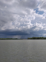 Similar image 21706779