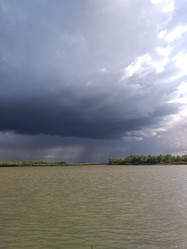 Similar image 21706786