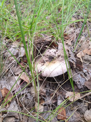 Similar image 21706789