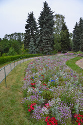 Similar image 21706795