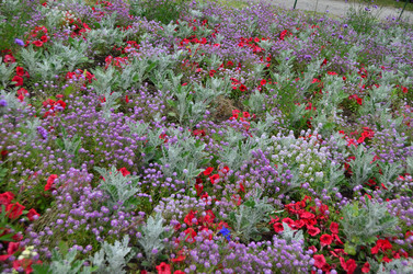 Similar image 21706876