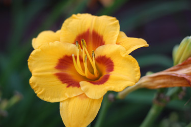 Similar image 21706802