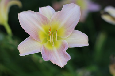 Similar image 21706804