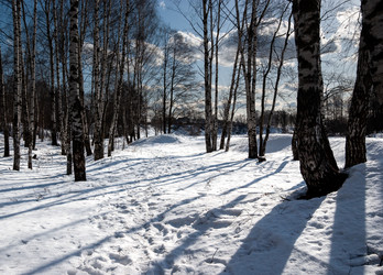 Similar image 21706918