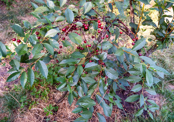 Similar image 21706922