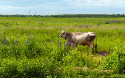 Similar image 21706925