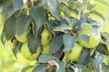 Similar image 21706805