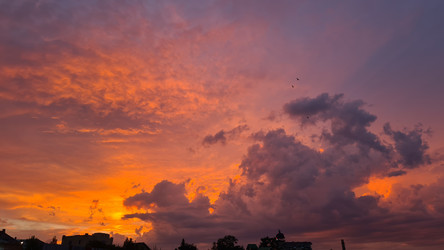 Similar image 21706811