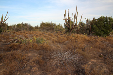 Similar image 21706825