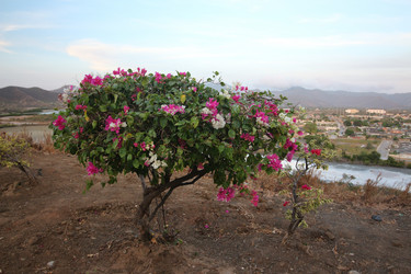 Similar image 21706826