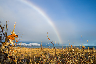 Similar image 21707199