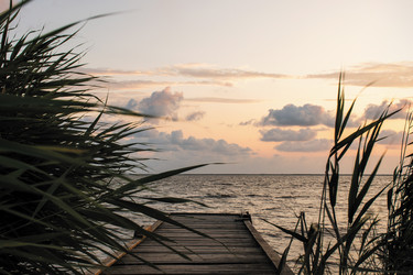 Similar image 21707021