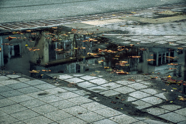 Similar image 21707024