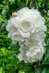 Similar image 21707201