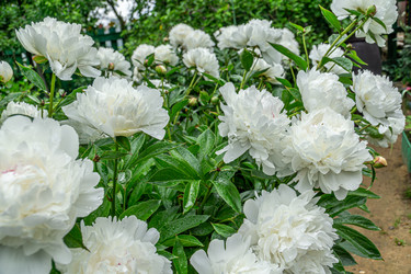 Similar image 21707320