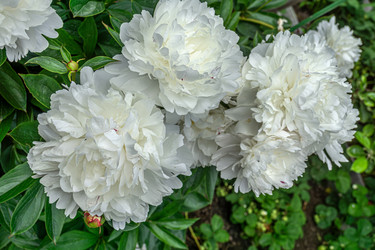 Similar image 21707321