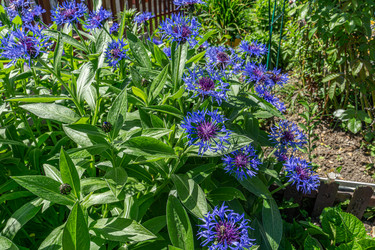 Similar image 21707323