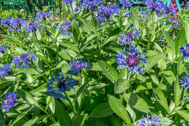 Similar image 21707324