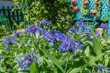 Similar image 21707326