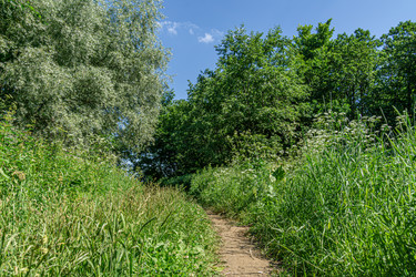 Similar image 21707331