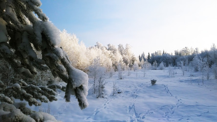 Similar image 21707204