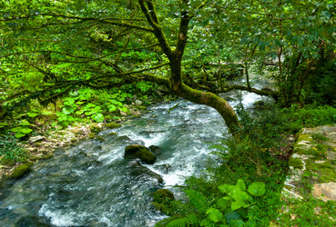 Similar image 21707093