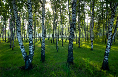 Similar image 21707099