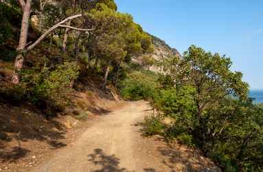 Similar image 21707104