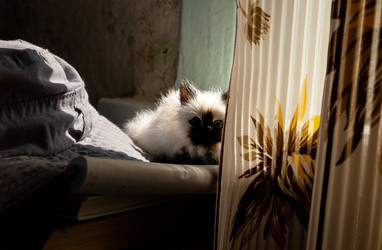 Similar image 21707124