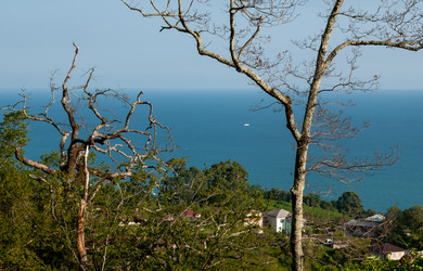 Similar image 21707072